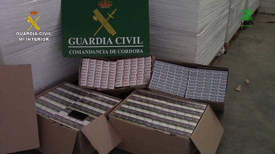 vpSE3XmM.00_08_39_12.Imagen fija138