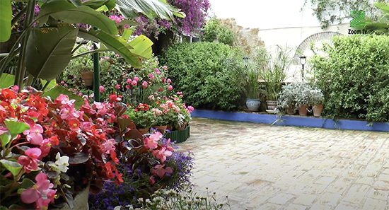 Captura de pantalla 2021-04-30 a las 16.23.33