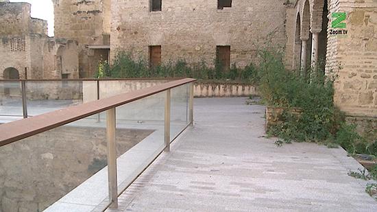 MOSCA ZOOM TV.00_00_27_20.Imagen fija058