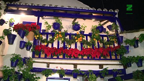 vpSE3XmM.00_00_39_22.Imagen fija319