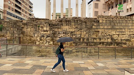 vpSE3XmM.00_00_21_17.Imagen fija233