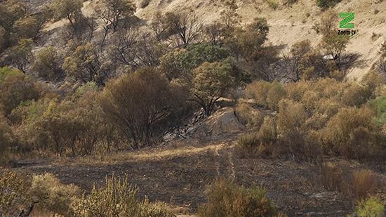 vpSE3XmM.00_00_19_21.Imagen fija216