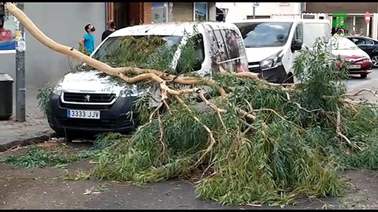 vpSE3XmM.00_00_19_05.Imagen fija222