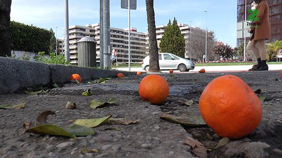 vpSE3XmM.00_05_53_02.Imagen fija109