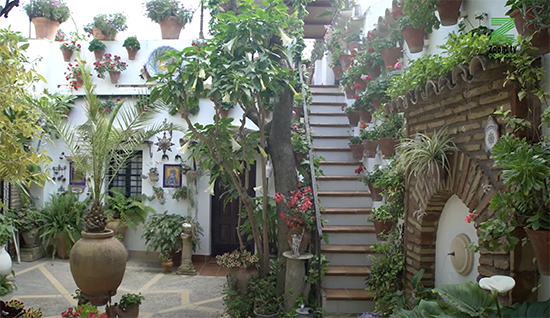 Captura de pantalla 2021-05-02 a las 21.25.22