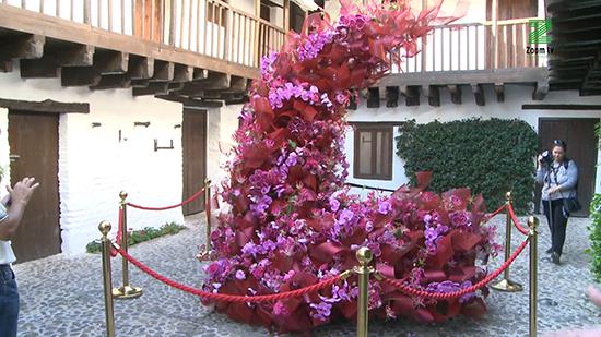 vpSE3XmM.00_00_23_11.Imagen fija248