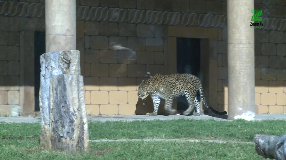 MOSCA ZOOM TV.00_01_01_13.Imagen fija105