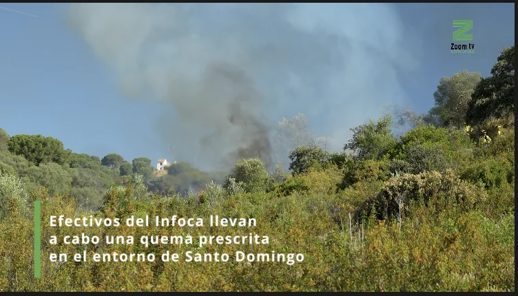 Captura de pantalla 2026-05-20 a las 13.34.26
