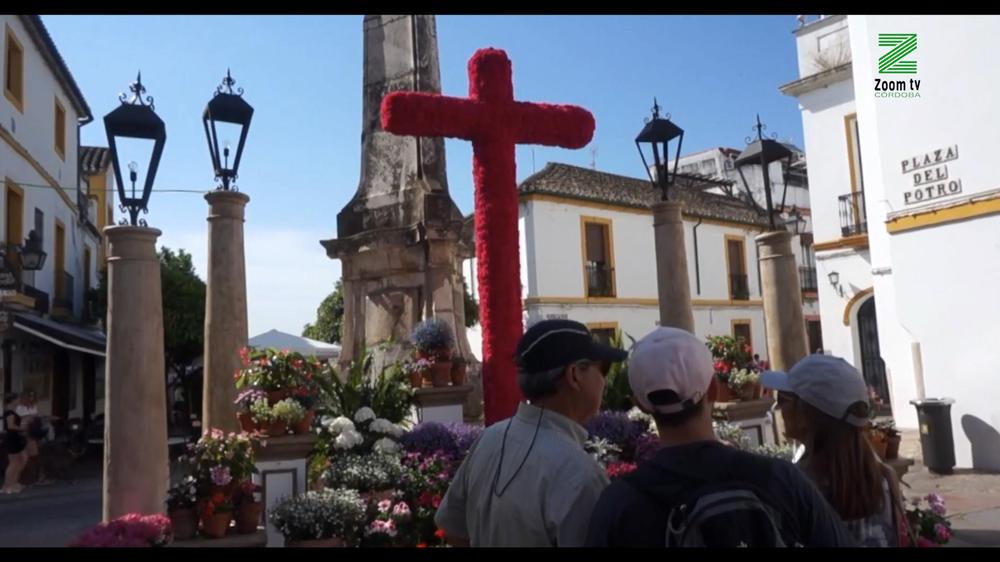 MOSCA ZOOM TV.00_00_18_22.Imagen fija148