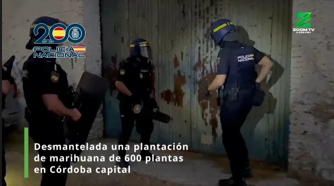 Captura de pantalla 2026-10-22 a las 17.27.30