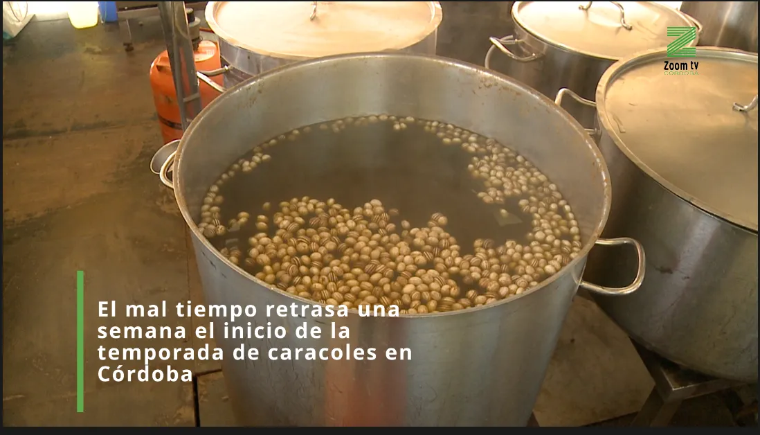 Captura de pantalla 2026-02-05 a las 18.49.05