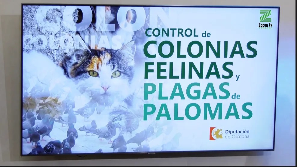 Captura de pantalla 2025-11-27 a las 18.02.07