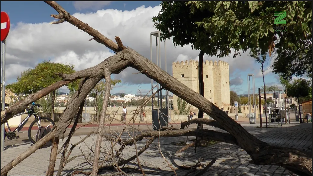 Captura de pantalla 2025-10-30 a las 10.57.55