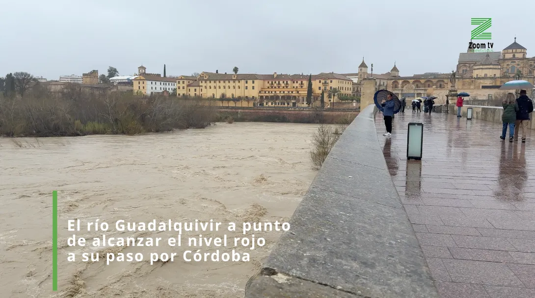 Captura de pantalla 2026-02-04 a las 19.29.20