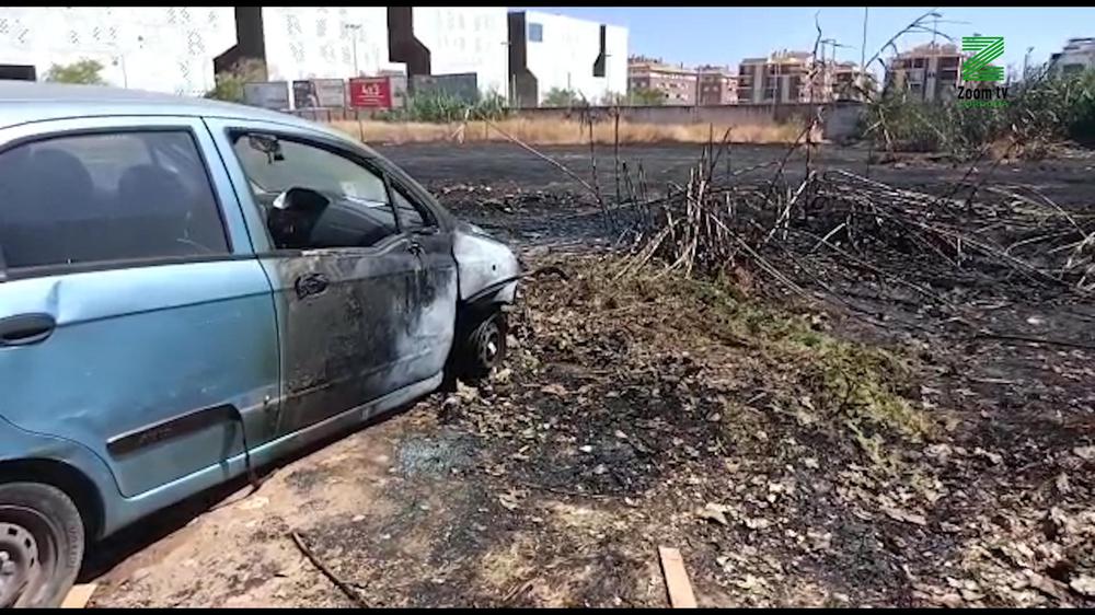 MOSCA ZOOM TV.00_00_08_06.Imagen fija090