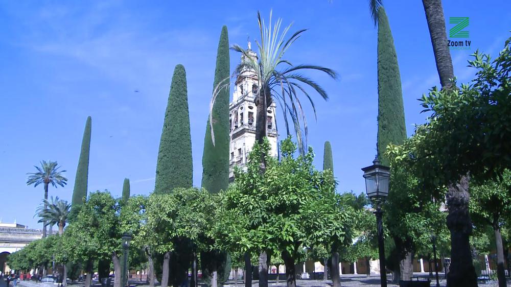 vpSE3XmM.00_27_32_18.Imagen fija025