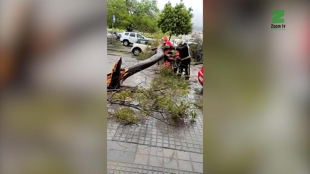 MOSCA ZOOM TV.00_00_10_15.Imagen fija146