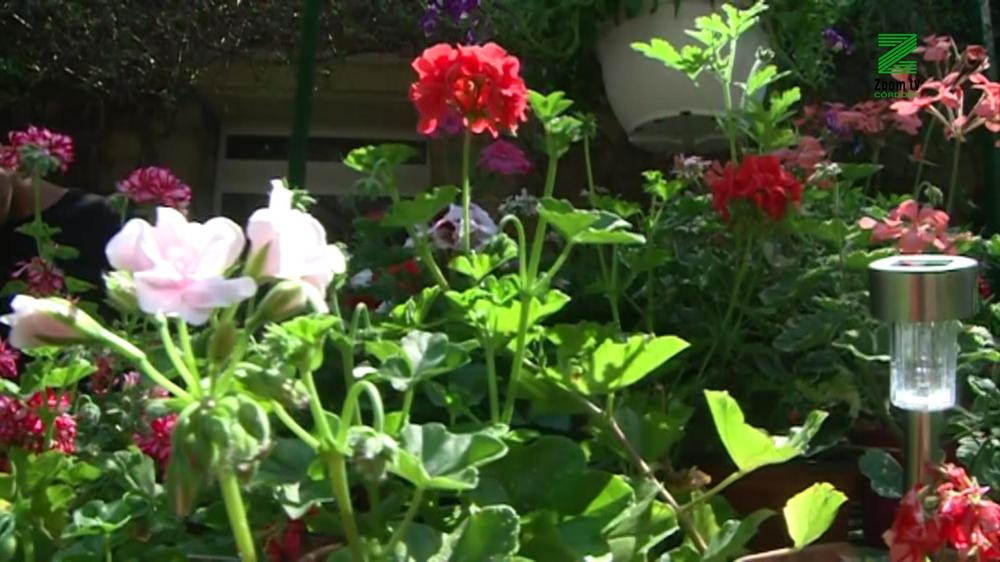 201_7356_01.00_30_56_06.Imagen fija007