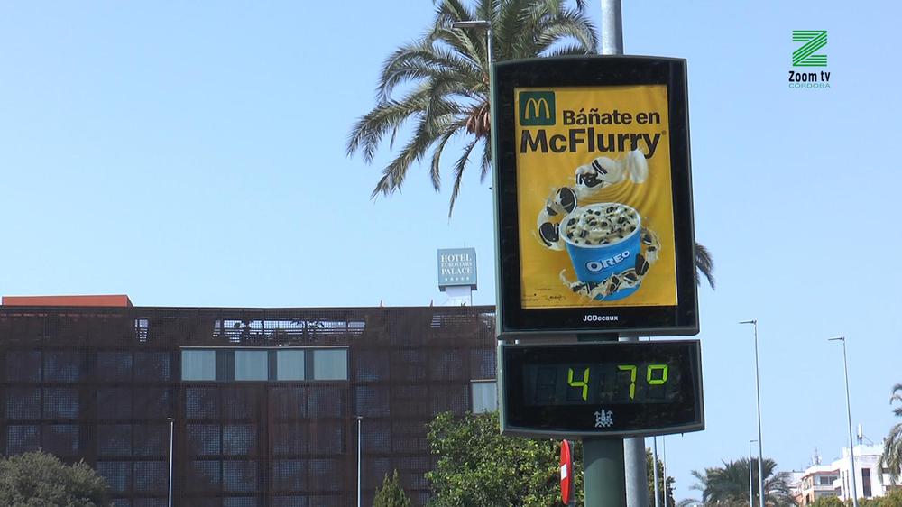 MOSCA ZOOM TV.00_00_01_02.Imagen fija187