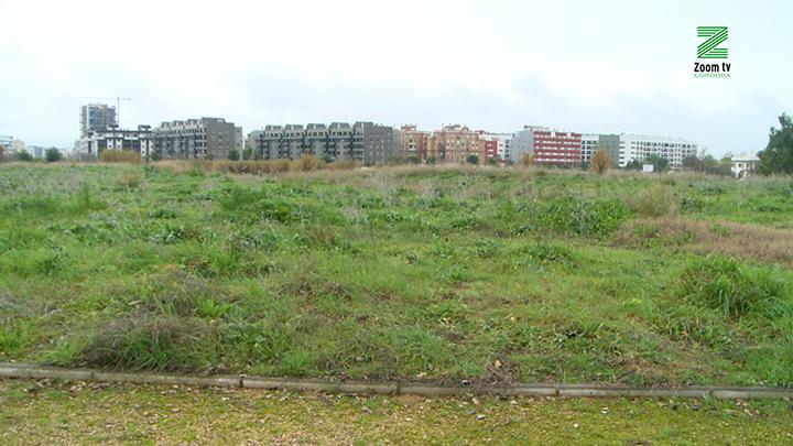 vpSE3XmM.00_02_31_16.Imagen fija077