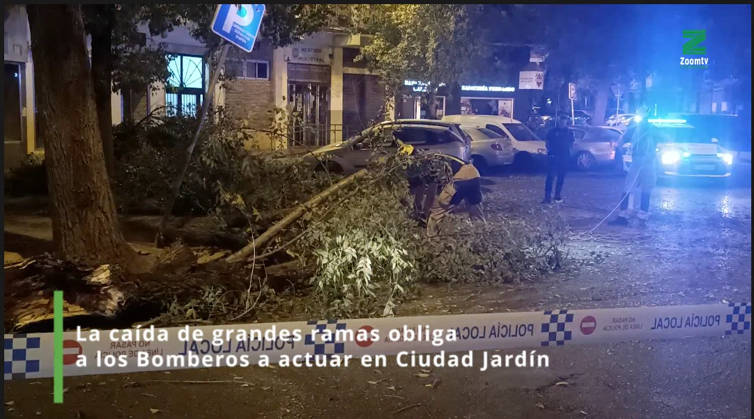 Captura de pantalla 2026-09-26 a las 8.02.06