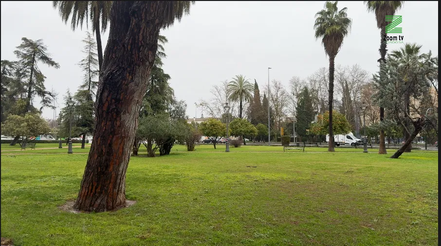 Captura de pantalla 2026-02-02 a las 11.43.58