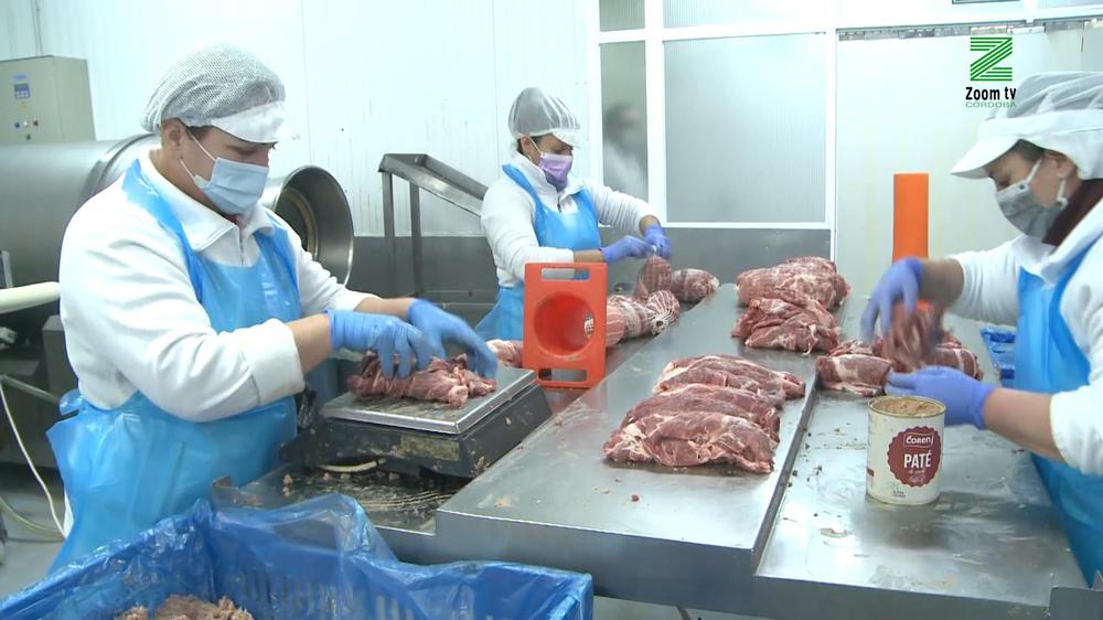 MOSCA ZOOM TV.00_00_36_04.Imagen fija005