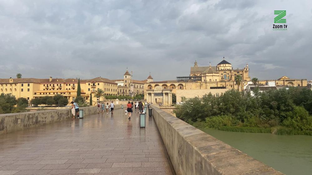 MOSCA ZOOM TV.00_00_04_07.Imagen fija118