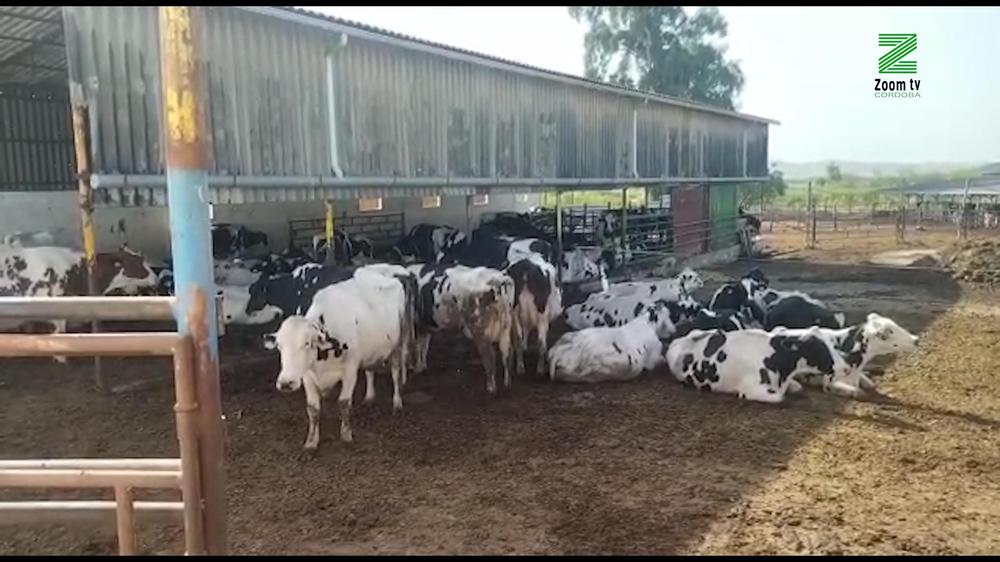 MOSCA ZOOM TV.00_00_16_11.Imagen fija158