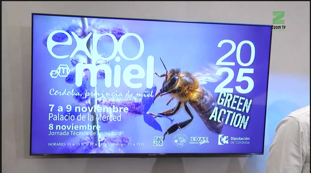 Captura de pantalla 2025-11-03 a las 15.42.24