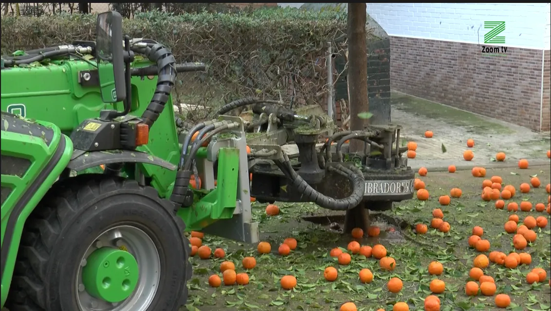 Captura de pantalla 2026-01-09 a las 18.19.08