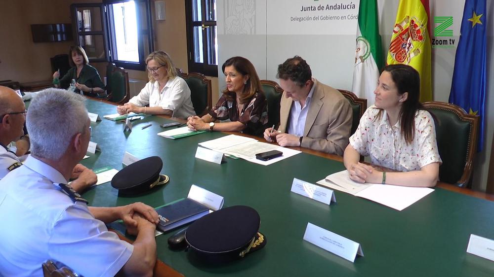 MOSCA ZOOM TV.00_00_03_08.Imagen fija182