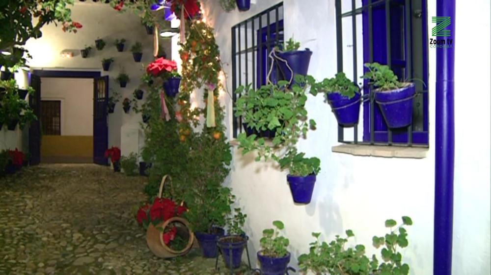 mascarillas.00_18_29_19.Imagen fija013