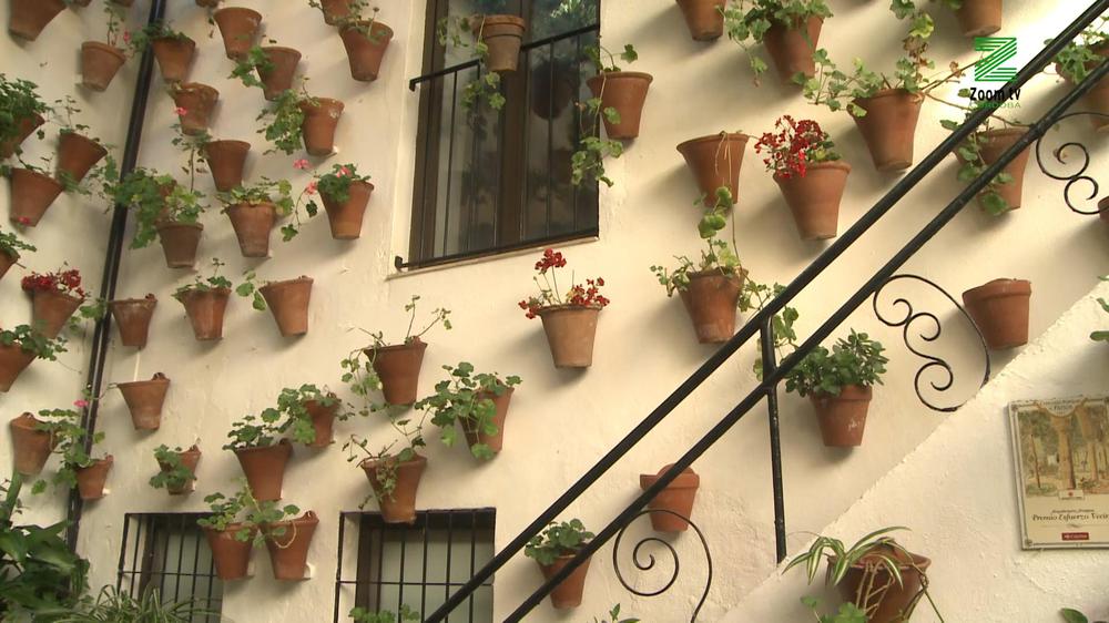 MOSCA ZOOM TV.00_00_15_13.Imagen fija153