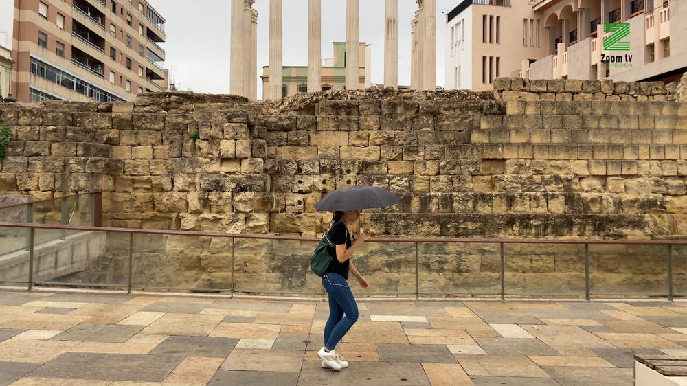 MOSCA ZOOM TV.00_01_01_04.Imagen fija102