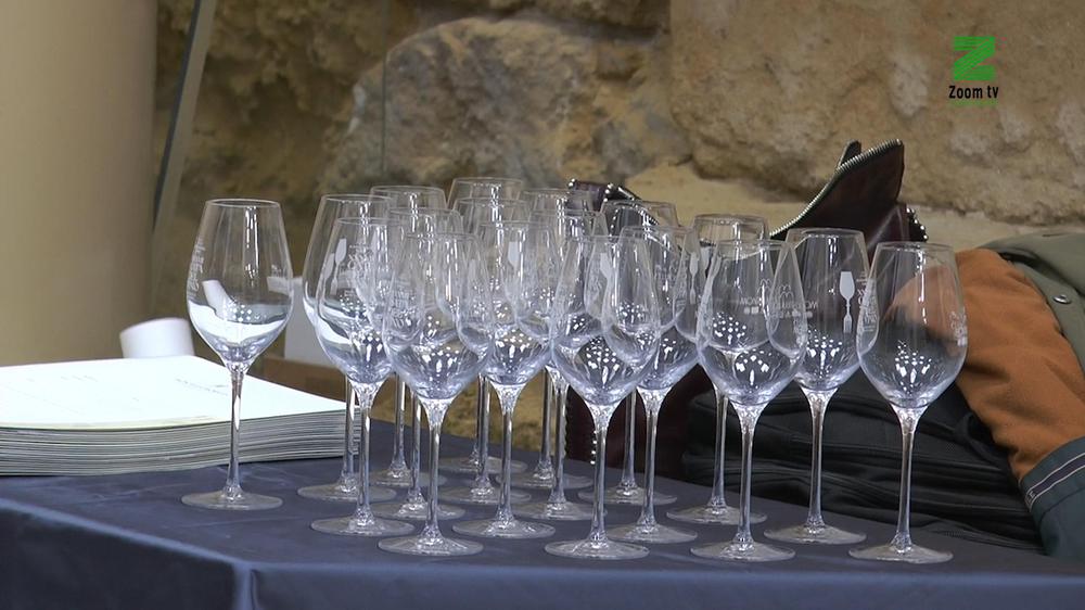 MOSCA ZOOM TV.00_00_07_18.Imagen fija129