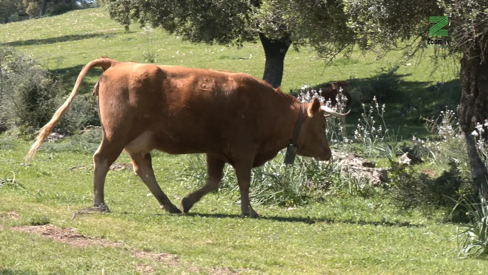 Timeline 1_09_13_00_21