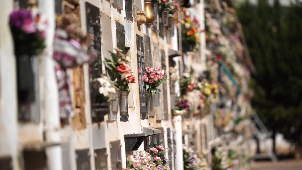 MOSCA ZOOM TV.00_01_52_13.Imagen fija134